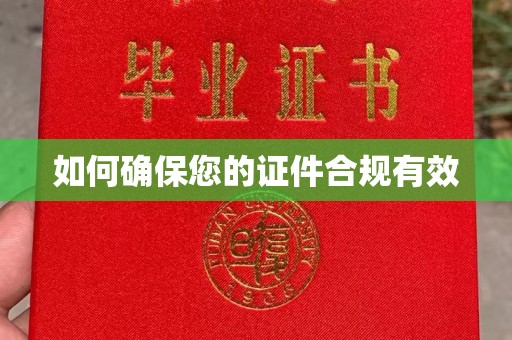 乌兰如何确保您的证件合规有效