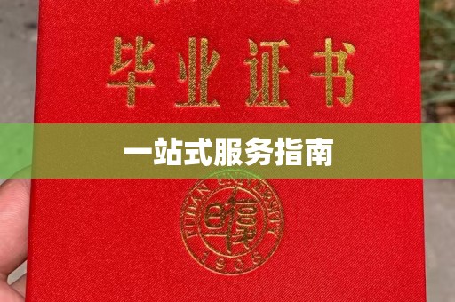 乌兰一站式服务指南