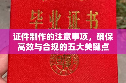 乌兰证件制作的注意事项，确保高效与合规的五大关键点