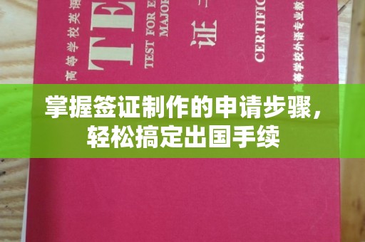 乌兰掌握签证制作的申请步骤，轻松搞定出国手续