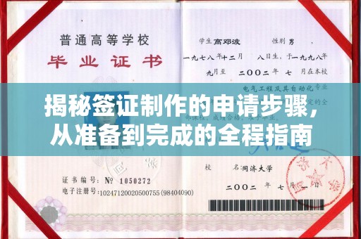 乌兰揭秘签证制作的申请步骤，从准备到完成的全程指南