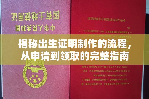 乌兰揭秘出生证明制作的流程，从申请到领取的完整指南