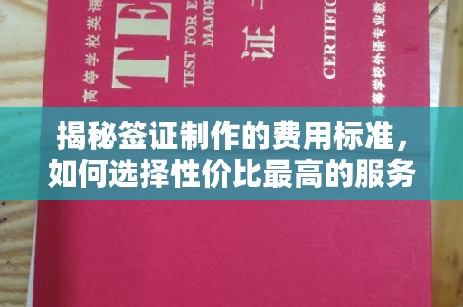 乌兰揭秘签证制作的费用标准，如何选择性价比最高的服务？